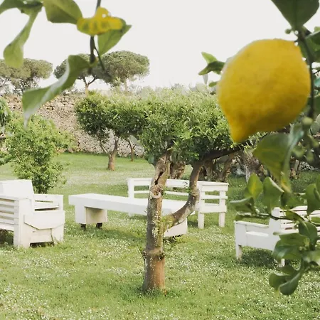 Masseria Paralupi Alojamento de Acomodação e Pequeno-almoço